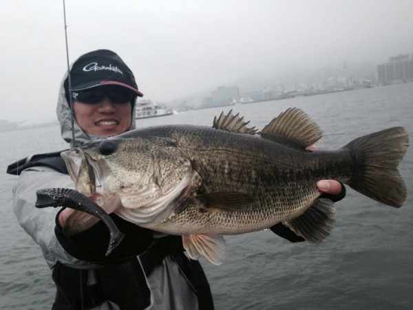 hideup 永野総一朗 ブログ写真 2015/04/01