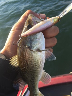 hideup 永野総一朗 ブログ写真 2015/11/03