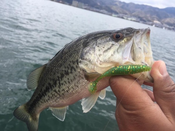 hideup 永野総一朗 ブログ写真 2017/03/17