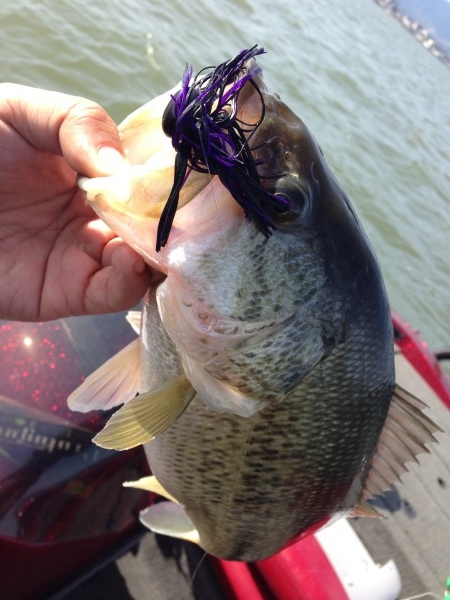 hideup 永野総一朗 ブログ写真 2013/04/08