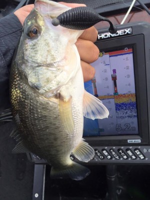 hideup 永野総一朗 ブログ写真 2016/01/12