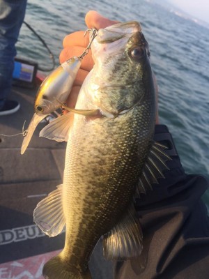 hideup 永野総一朗 ブログ写真 2015/10/10