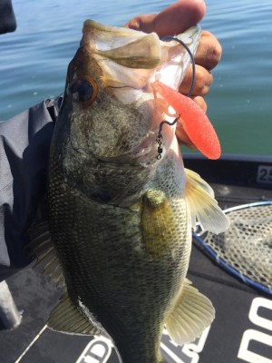 hideup 永野総一朗 ブログ写真 2017/05/19