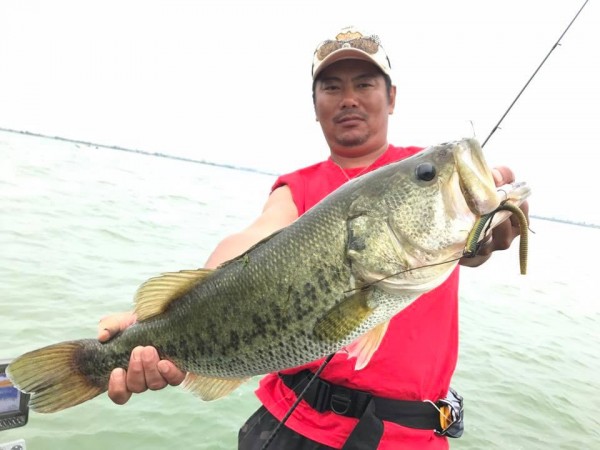 hideup 永野総一朗 ブログ写真 2017/06/21