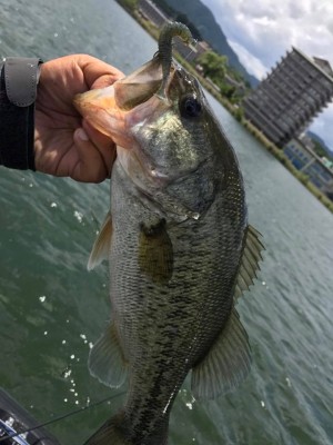 hideup 永野総一朗 ブログ写真 2017/06/02