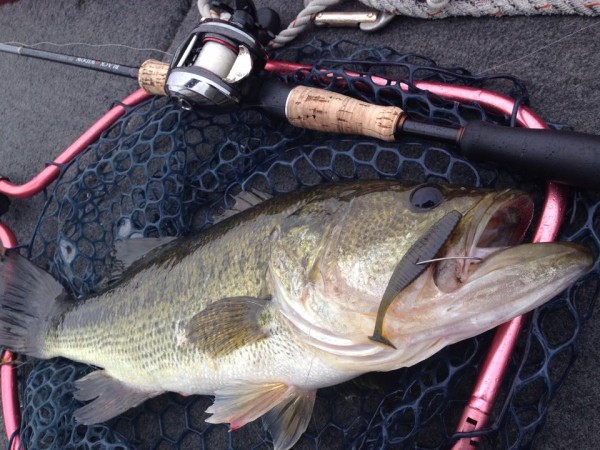 hideup 永野総一朗 ブログ写真 2015/05/05