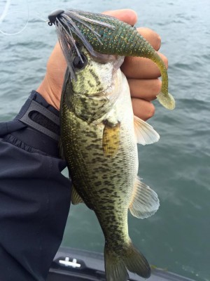 hideup 永野総一朗 ブログ写真 2016/07/14