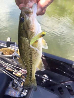hideup 永野総一朗 ブログ写真 2016/06/01