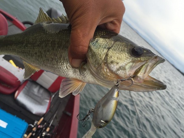 hideup 永野総一朗 ブログ写真 2015/10/05