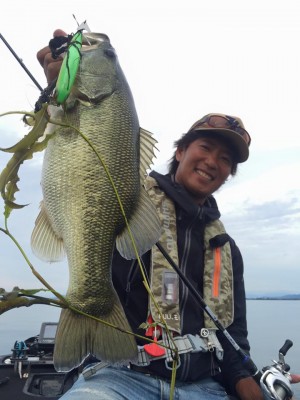 hideup 豌ｸ驥守ｷ丈ｸ譛� 繝悶Ο繧ｰ蜀咏悄 2016/09/16