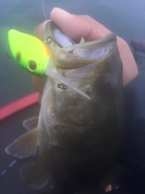 hideup 永野総一朗 ブログ写真 2015/11/08