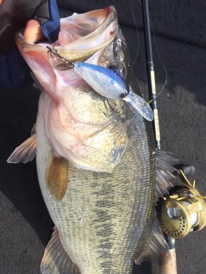 hideup 永野総一朗 ブログ写真 2017/03/09