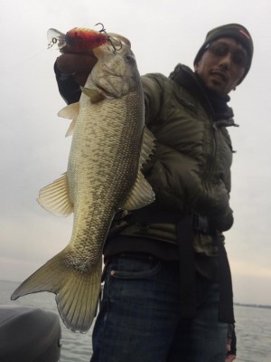 hideup 永野総一朗 ブログ写真 2016/11/15