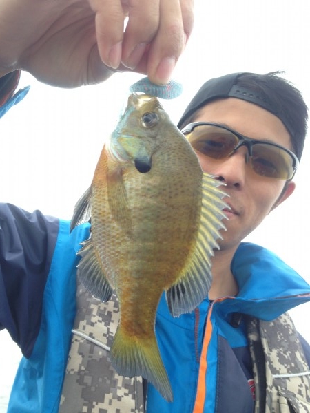 hideup 永野総一朗 ブログ写真 2014/06/05