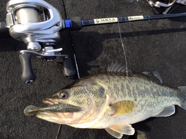 hideup 永野総一朗 ブログ写真 2016/04/01