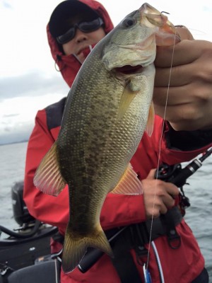 hideup 永野総一朗 ブログ写真 2016/09/18