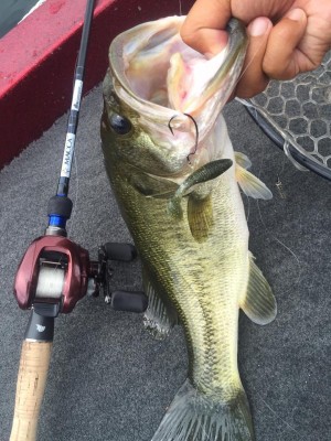 hideup 永野総一朗 ブログ写真 2015/08/17