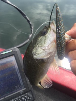 hideup 永野総一朗 ブログ写真 2015/09/27