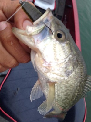 hideup 永野総一朗 ブログ写真 2015/04/04