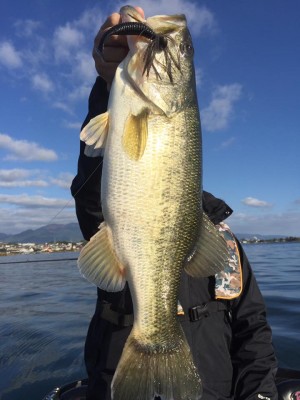 hideup 永野総一朗 ブログ写真 2016/11/16
