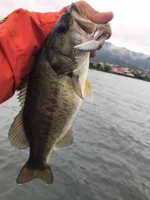 hideup 永野総一朗 ブログ写真 2017/10/17