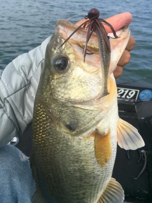 hideup 永野総一朗 ブログ写真 2016/10/19