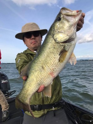 hideup 豌ｸ驥守ｷ丈ｸ譛� 繝悶Ο繧ｰ蜀咏悄 2017/06/13