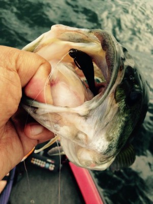 hideup 永野総一朗 ブログ写真 2015/06/02