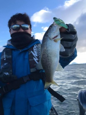 hideup 永野総一朗 ブログ写真 2017/11/20