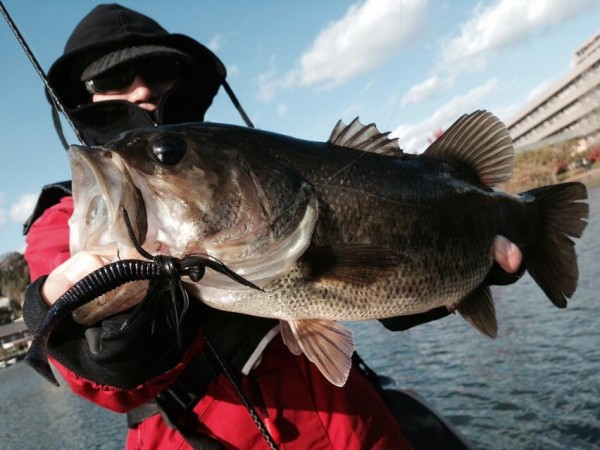 hideup 永野総一朗 ブログ写真 2014/12/02