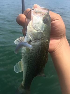 hideup 永野総一朗 ブログ写真 2016/06/08