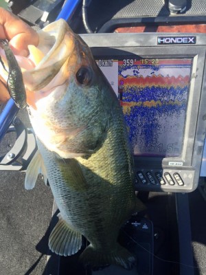 hideup 永野総一朗 ブログ写真 2016/06/02