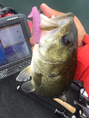 hideup 永野総一朗 ブログ写真 2015/09/03