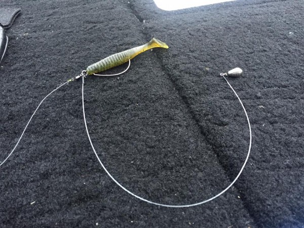 hideup 豌ｸ驥守ｷ丈ｸ譛� 繝悶Ο繧ｰ蜀咏悄 2017/04/26