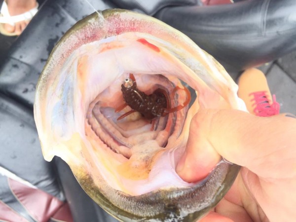 hideup 永野総一朗 ブログ写真 2017/05/10