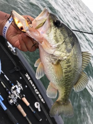 hideup 永野総一朗 ブログ写真 2017/05/23