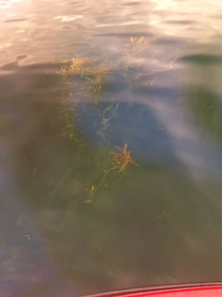 hideup 永野総一朗 ブログ写真 2014/06/24