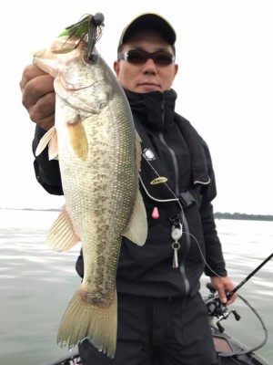 hideup 永野総一朗 ブログ写真 2017/11/08