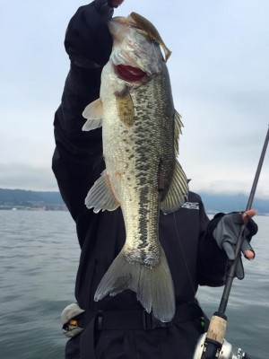 hideup 永野総一朗 ブログ写真 2016/05/09