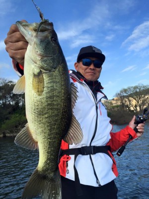 hideup 永野総一朗 ブログ写真 2016/04/11