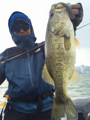 hideup 永野総一朗 ブログ写真 2016/06/09