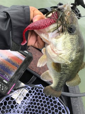 hideup 永野総一朗 ブログ写真 2017/06/22