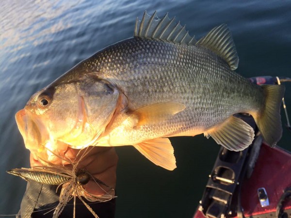 hideup 永野総一朗 ブログ写真 2015/12/24