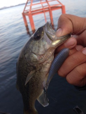 hideup 永野総一朗 ブログ写真 2014/10/19