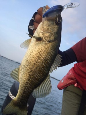 hideup 永野総一朗 ブログ写真 2016/10/03