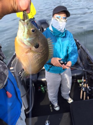 hideup 永野総一朗 ブログ写真 2016/04/16