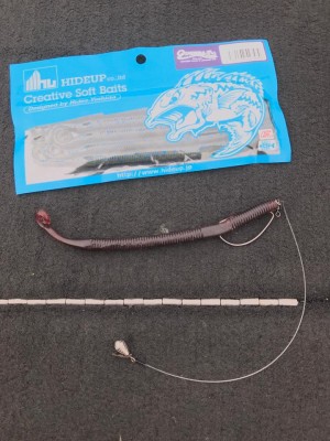 hideup 永野総一朗 ブログ写真 2017/06/01