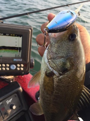 hideup 永野総一朗 ブログ写真 2015/10/20