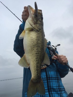 hideup 永野総一朗 ブログ写真 2016/11/21