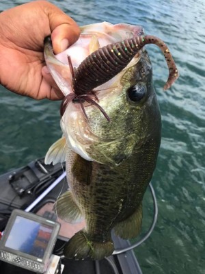 hideup 永野総一朗 ブログ写真 2017/07/21